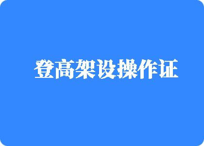 老年人肥胖老女人一级黄色视频网站-百度登高架设操作证